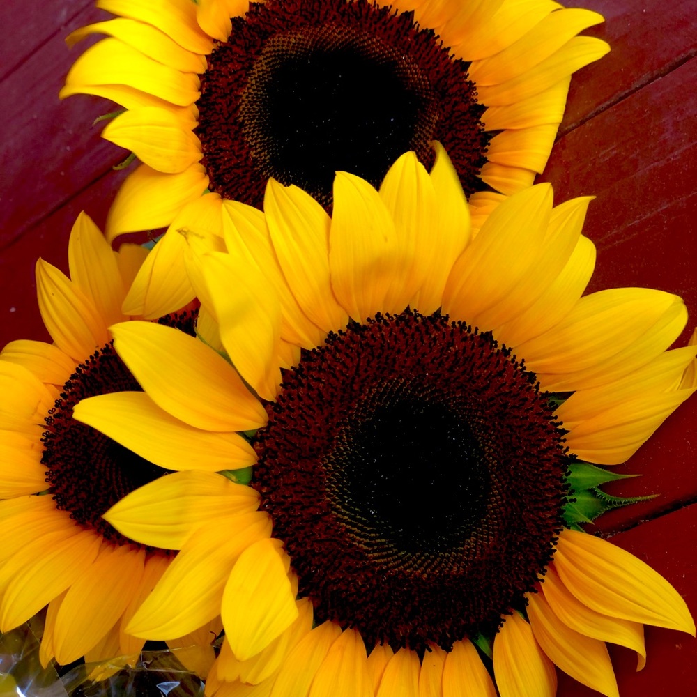 Meet your Posher, Mrs